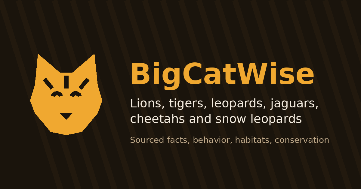 Big Cat Lesson Plans, Worksheets & Printables for Teachers | BigCatWise
